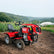 Tractor OSLO® TRACTHOR SX12 DIESEL